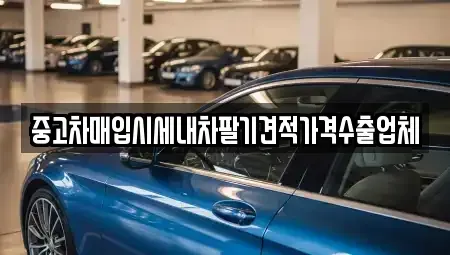 경기도 광주시 능평동 중고차매입 전문 중고차매입시세내차팔기견적가격수출업체