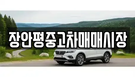 경기도 성남시 수정구 창곡동 중고차 전문 장안평중고차매매시장