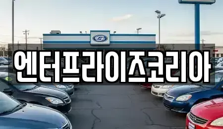 경기도 시흥시 계수동 단기렌트카 전문 엔터프라이즈코리아