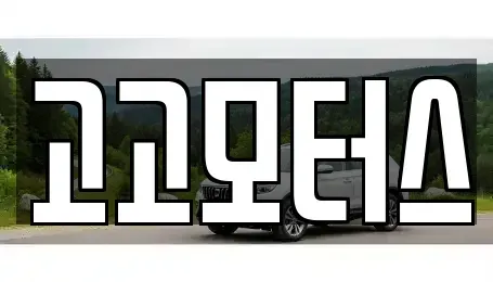 경기도 시흥시 계수동 중고차 전문 고고모터스
