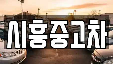 경기도 시흥시 계수동 중고차 전문 시흥중고차