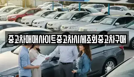 경기도 시흥시 계수동 중고차 전문 중고차매매사이트중고차시세조회중고차구매