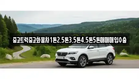 경기도 시흥시 계수동 중고차 전문 중고트럭중고화물차1톤2.5톤3.5톤4.5톤5톤매매매입수출