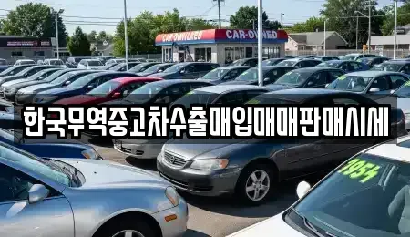 경기도 시흥시 계수동 중고차매입 전문 한국무역중고차수출매입매매판매시세