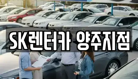 경기도 양주시 광사동 장기렌트카 전문 SK렌터카 양주지점