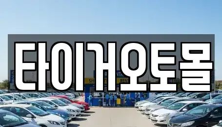 경기도 양주시 광사동 중고차 전문 타이거오토몰