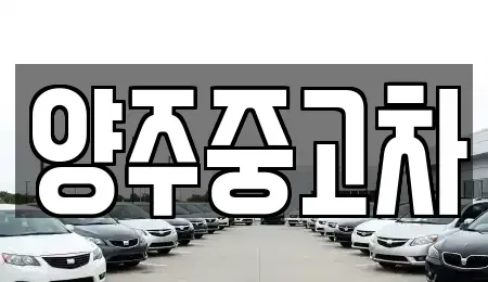 경기도 양주시 광사동 중고차매매,단기렌트카,중고차매입,장기렌트카,중고차,렌트카