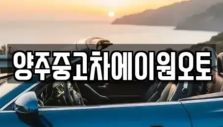 경기도 양주시 광사동 중고차매매 전문 양주중고차에이원오토