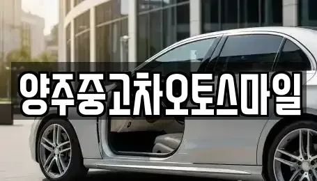 경기도 양주시 광사동 중고차매매 전문 양주중고차오토스마일