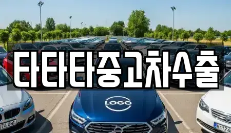 경기도 용인시 처인구 남사읍 중고차 전문 타타타중고차수출