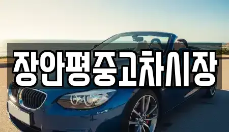 경기도 의왕시 청계동 중고차 전문 장안평중고차시장