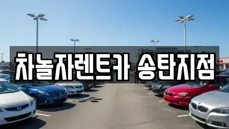 경기도 평택시 고덕동 렌트카 전문 차놀자렌트카 송탄지점