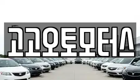 경기도 평택시 고덕동 중고차 전문 고고오토모터스