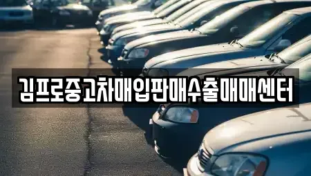 경남 사천시 동림동 중고차매입 전문 김프로중고차매입판매수출매매센터