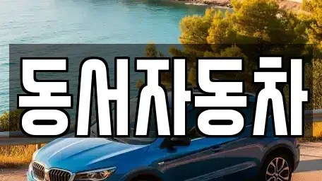 경남 창원시 마산합포구 진전면 중고차매매 전문 동서자동차