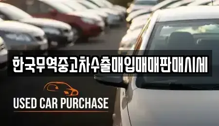 경남 창원시 마산회원구 회원동 중고차 전문 한국무역중고차수출매입매매판매시세