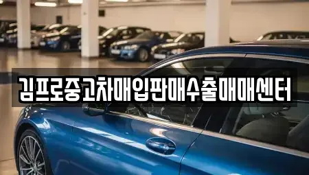 경남 창원시 마산회원구 회원동 중고차매입 전문 김프로중고차매입판매수출매매센터