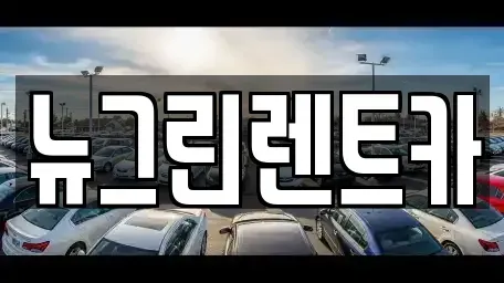 경북 성주군 성주읍 렌트카 전문 뉴그린렌트카