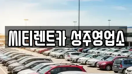 경북 성주군 성주읍 렌트카 전문 씨티렌트카 성주영업소