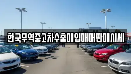 경북 성주군 성주읍 중고차매매,단기렌트카,중고차매입,장기렌트카,중고차,렌트카