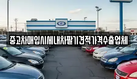 경북 영주시 장수면 중고차매입 전문 중고차매입시세내차팔기견적가격수출업체