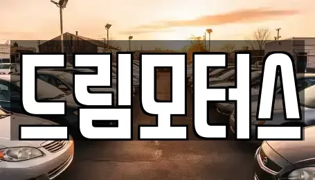 경북 영주시 하망동 중고차 전문 드림모터스