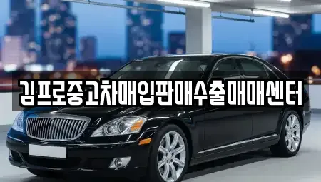 경상남도 김해시 지내동 중고차매입 전문 김프로중고차매입판매수출매매센터