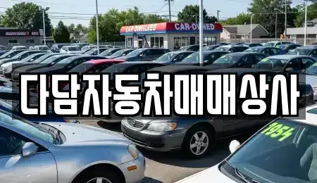 경상남도 김해시 지내동 중고차매입 전문 다담자동차매매상사