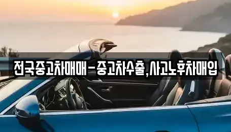 경상남도 김해시 지내동 중고차매입 전문 전국중고차매매-중고차수출,사고노후차매입