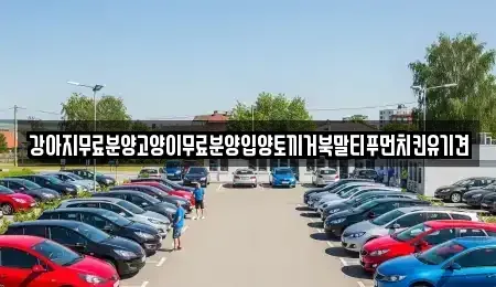 경상남도 창원시 마산합포구 문화동 중고차매입 전문 강아지무료분양고양이무료분양입양토끼거북말티푸먼치킨유기견