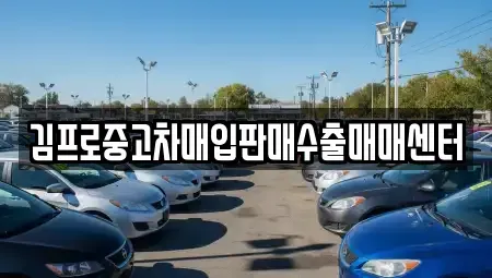경상남도 창원시 마산합포구 문화동 중고차매입 전문 김프로중고차매입판매수출매매센터