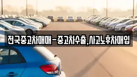 경상남도 창원시 마산합포구 문화동 중고차매입 전문 전국중고차매매-중고차수출,사고노후차매입