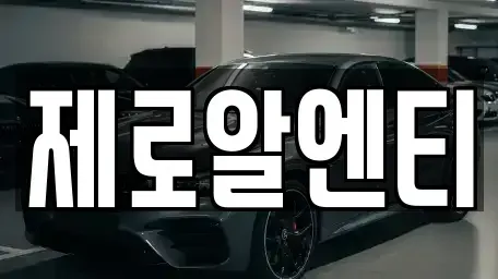 경상남도 창원시 진해구 성내동 렌트카 전문 제로알엔티