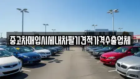 경상북도 경산시 자인면 중고차 전문 중고차매입시세내차팔기견적가격수출업체