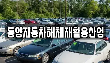 경상북도 성주군 성주읍 중고차 전문 동양자동차해체재활용산업