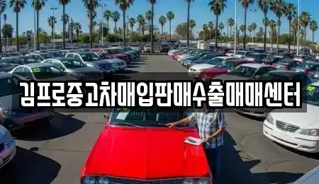 경상북도 영천시 조교동 장기렌트카,중고차,렌트카,단기렌트카,중고차매입,중고차매매