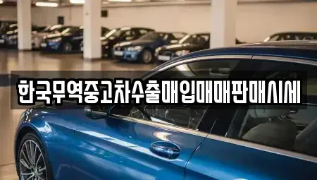 경상북도 영천시 조교동 중고차매입 전문 한국무역중고차수출매입매매판매시세