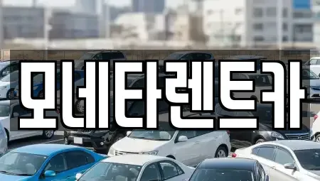 광주 광산구 신촌동 렌트카 전문 모네타렌트카