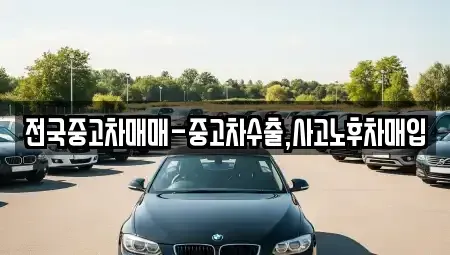 광주 북구 망월동 중고차매입 전문 전국중고차매매-중고차수출,사고노후차매입