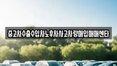 광주 북구 삼각동 중고차매매 전문 중고차수출수입차노후차사고차량매입매매센타