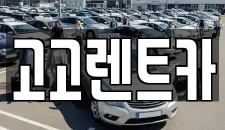 대구광역시 달서구 렌트카 전문 고고렌트카