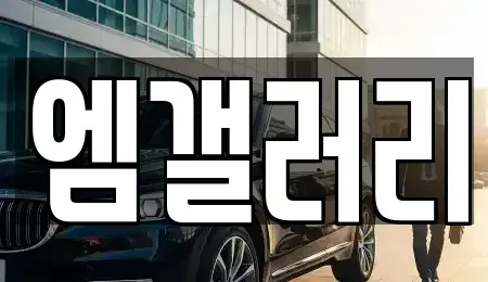 대구광역시 달서구 중고차 전문 엠갤러리