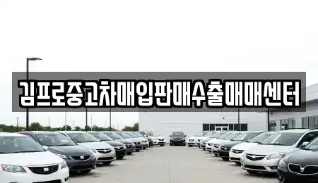 대구광역시 달서구 중고차매입 전문 김프로중고차매입판매수출매매센터