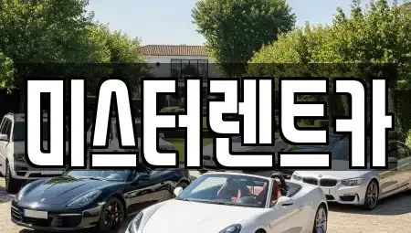 대구광역시 북구 대현동 렌트카 전문 미스터렌트카