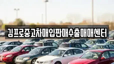 대구광역시 북구 대현동 중고차 전문 김프로중고차매입판매수출매매센터