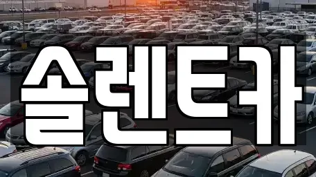 대구광역시 수성구 수성동4가 장기렌트카 전문 솔렌트카