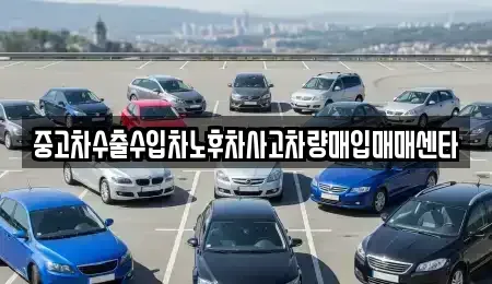 대전 중구 은행동 중고차매입 전문 중고차수출수입차노후차사고차량매입매매센타