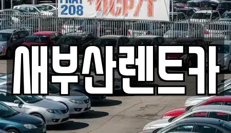 부산 중구 신창동4가 렌트카 전문 새부산렌트카
