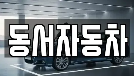 부산 중구 신창동4가 중고차 전문 동서자동차