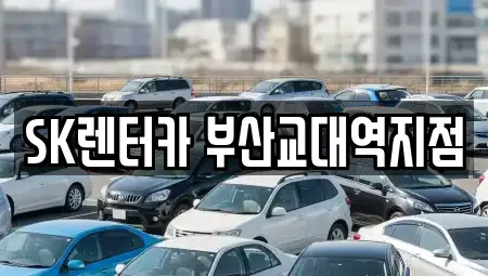 부산광역시 동래구 사직동 장기렌트카 전문 SK렌터카 부산교대역지점